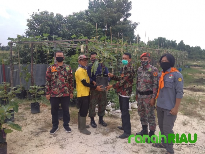 Milad KOKAM ke55, Pemuda Muhammadiyah Riau Gelar Penyemprotan Disinfektan dan Pembagian Bibit